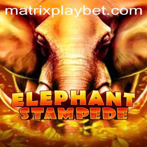 ElephantStampede: A Thrilling Adventure Awaits!